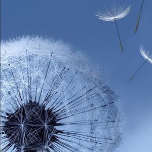 Meet your Posher, Lesley